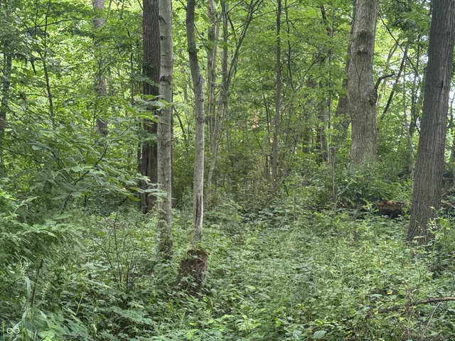 $60,000 | 0 Hopewell Road, Fountain City, IN 47341