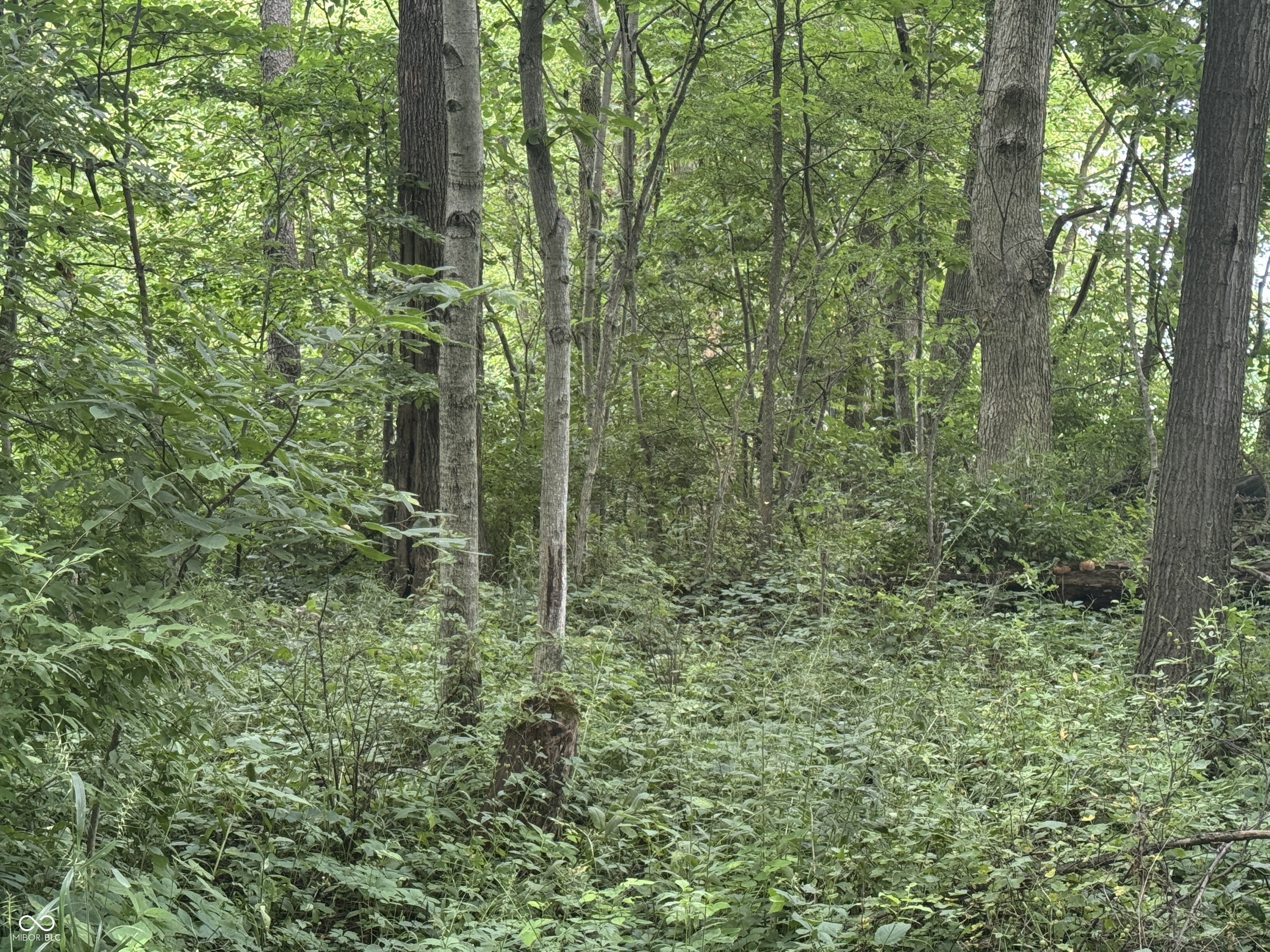 0 Hopewell Road Fountain City, IN 47341 - Photo 14 of 20