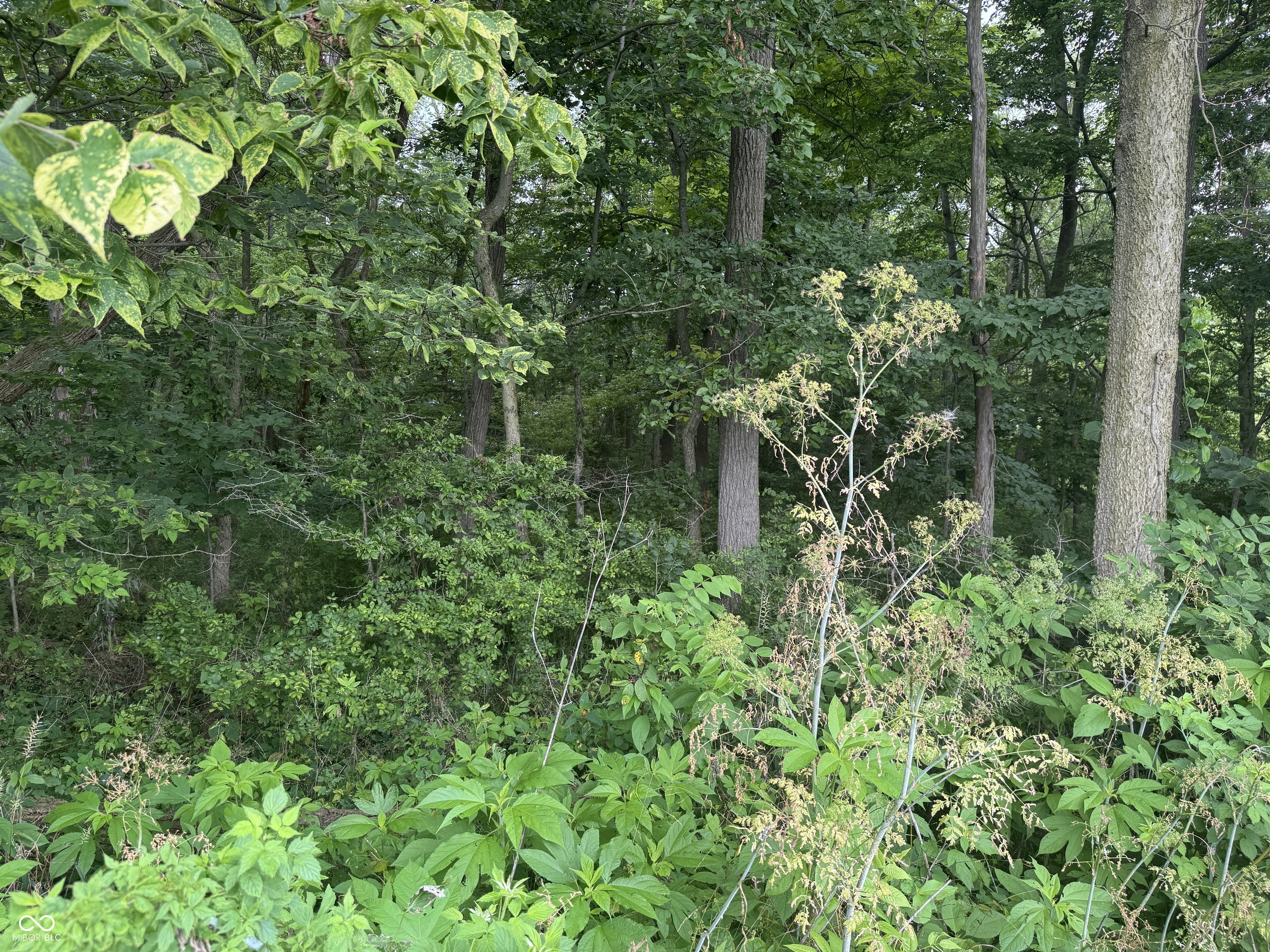 0 Hopewell Road Fountain City, IN 47341 - Photo 15 of 20