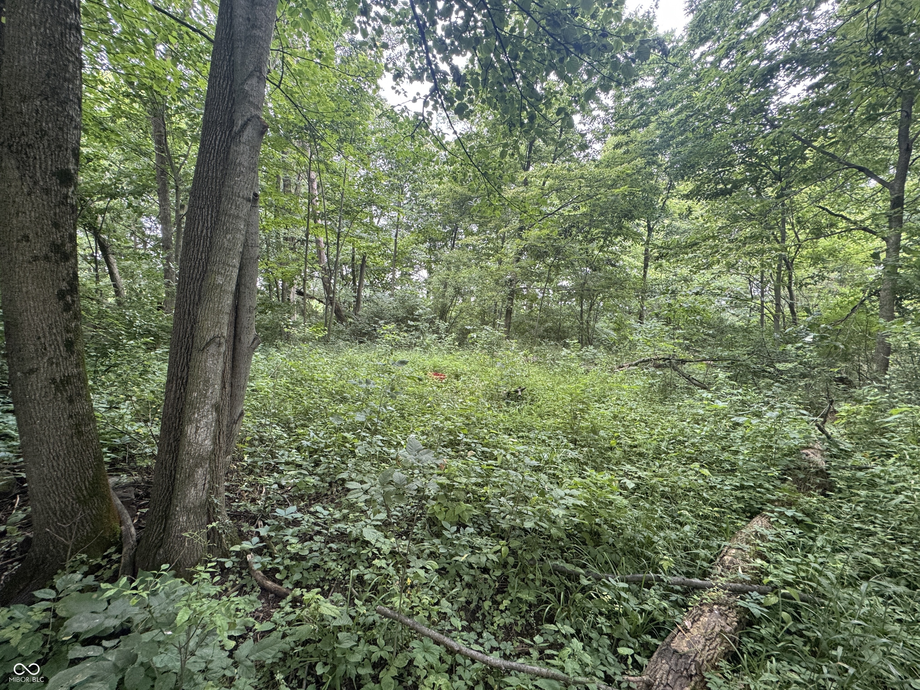 0 Hopewell Road Fountain City, IN 47341 - Photo 16 of 20