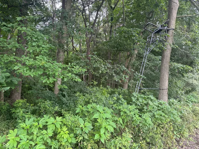 $60,000 | 0 Hopewell Road, Fountain City, IN 47341