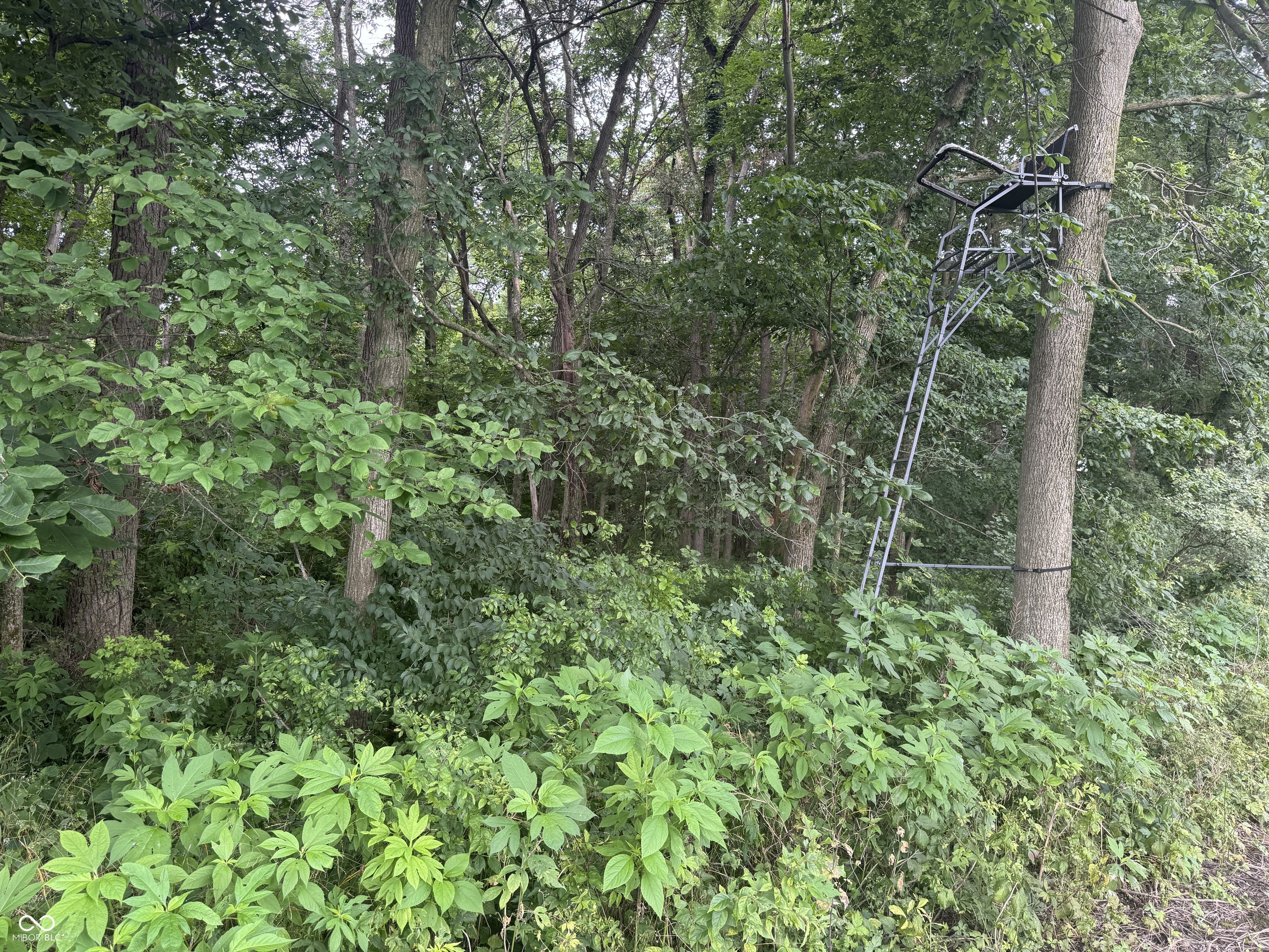 0 Hopewell Road Fountain City, IN 47341 - Photo 17 of 20