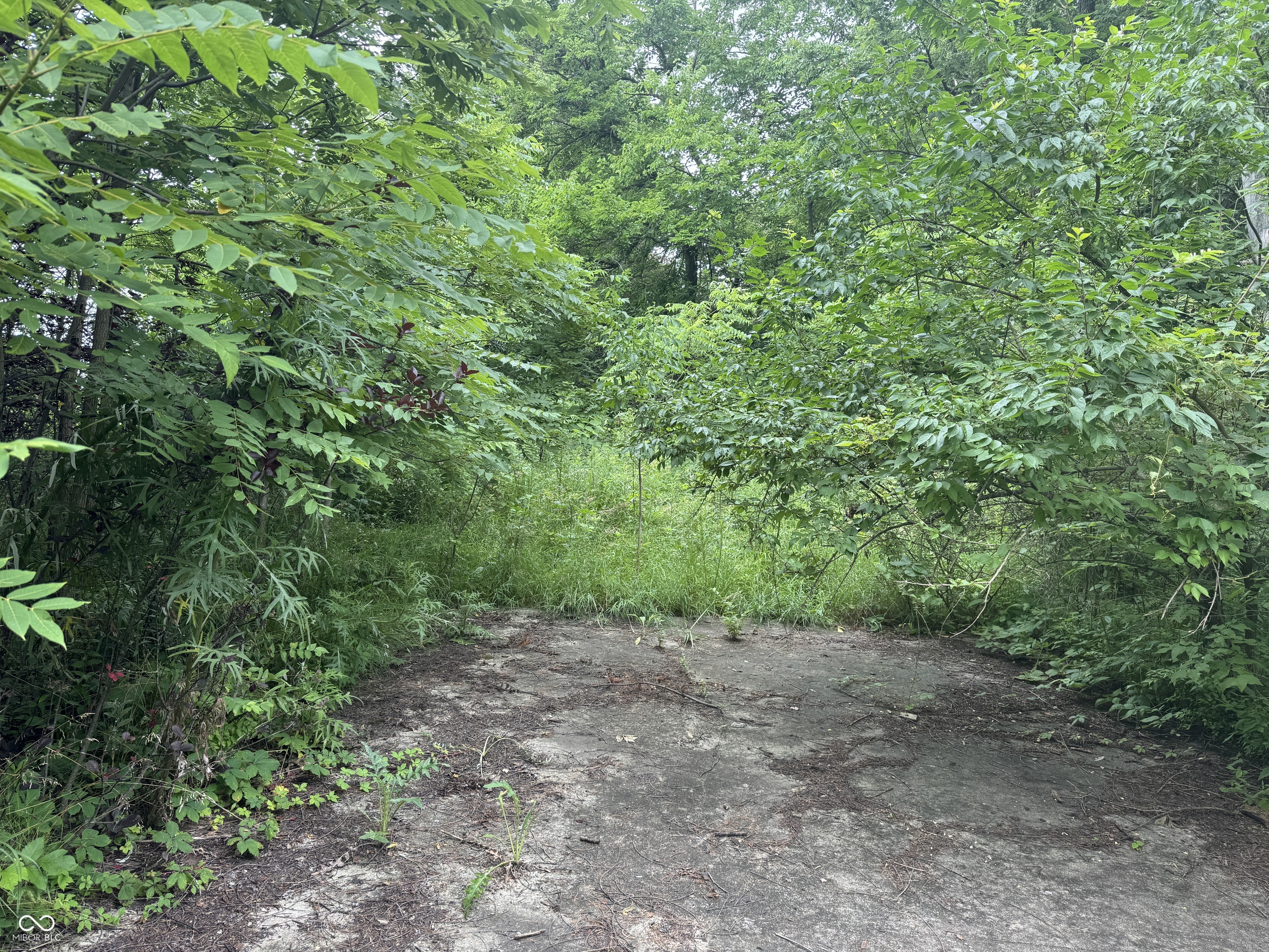 0 Hopewell Road Fountain City, IN 47341 - Photo 18 of 20