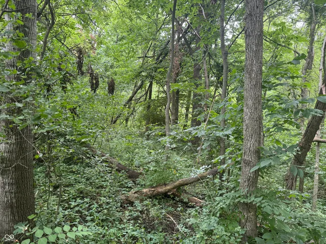 $60,000 | 0 Hopewell Road, Fountain City, IN 47341