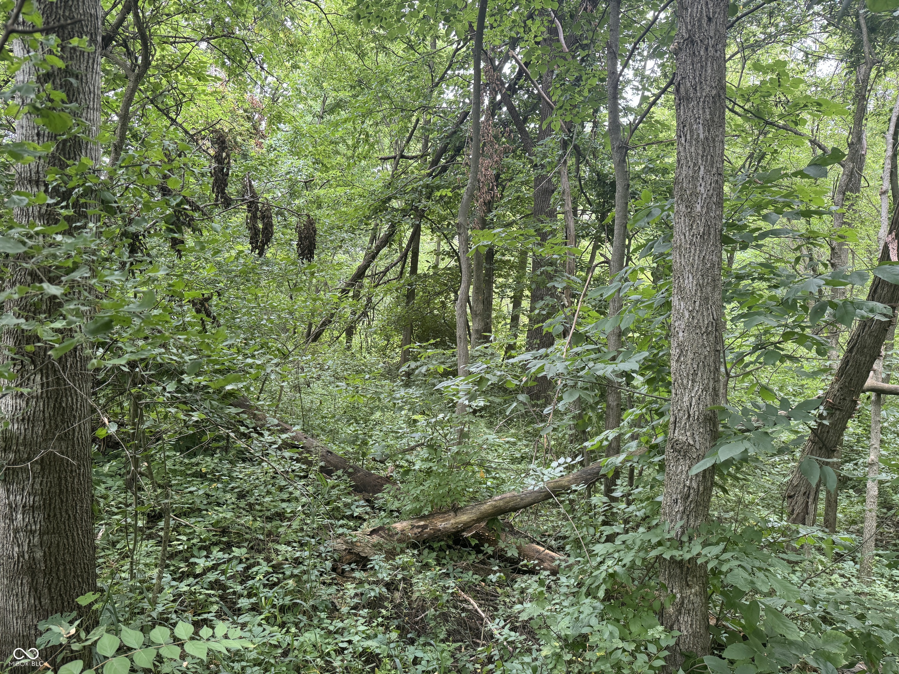 0 Hopewell Road Fountain City, IN 47341 - Photo 19 of 20