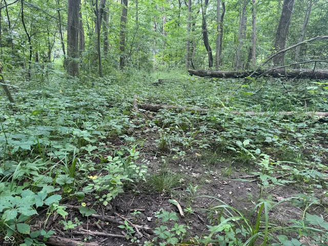 $60,000 | 0 Hopewell Road, Fountain City, IN 47341