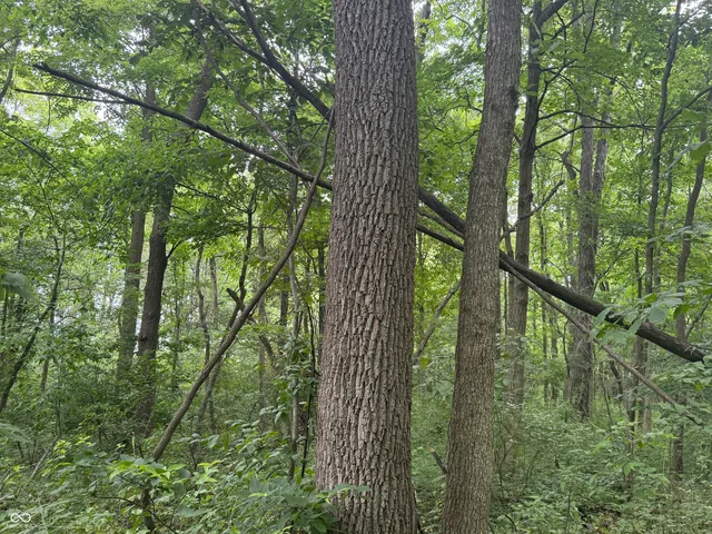 $60,000 | 0 Hopewell Road, Fountain City, IN 47341