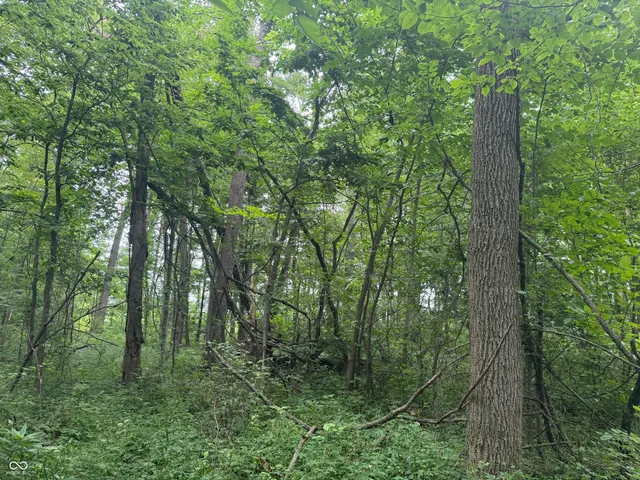 $60,000 | 0 Hopewell Road, Fountain City, IN 47341