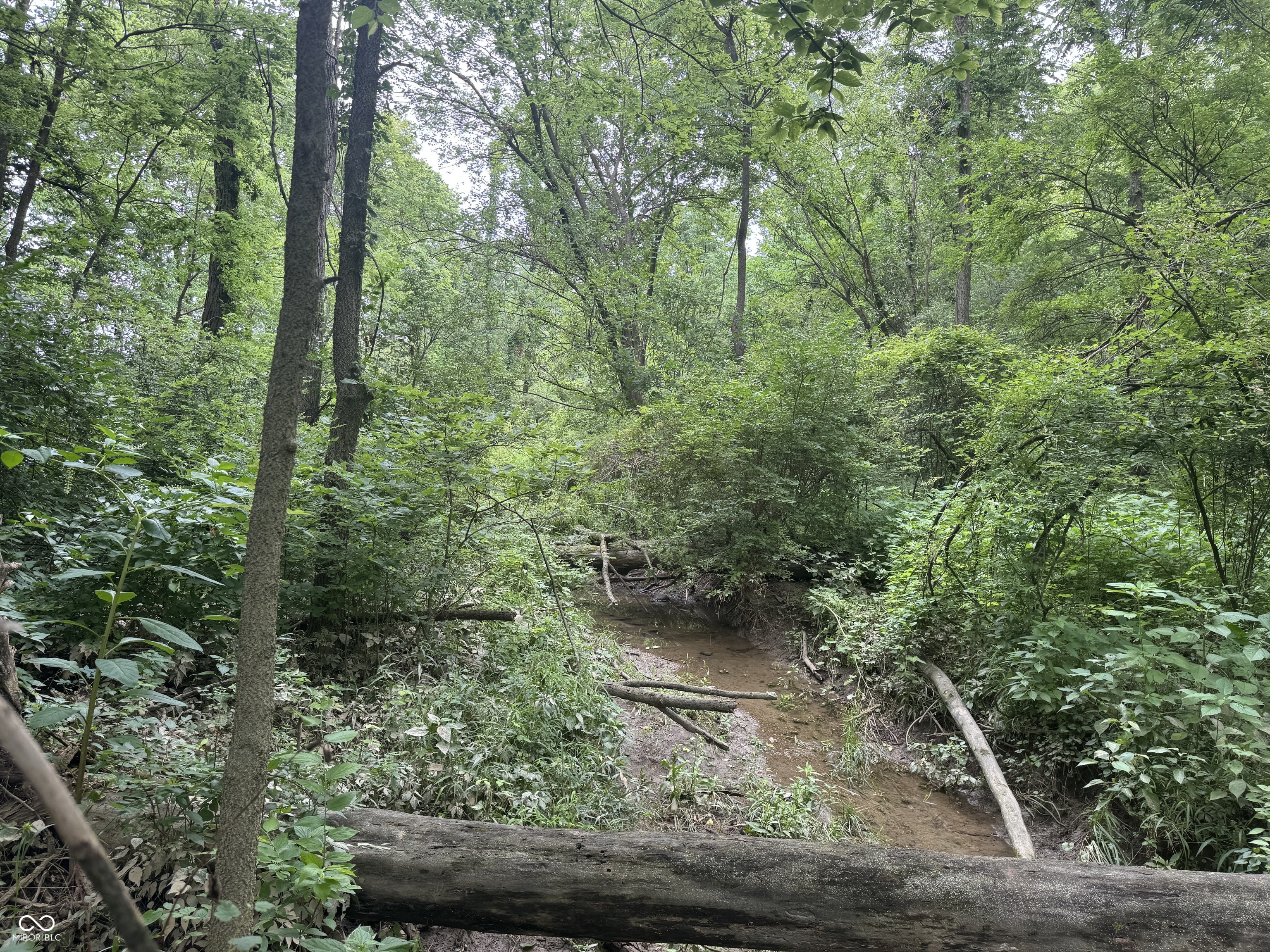 0 Hopewell Road Fountain City, IN 47341 - Photo 5 of 20