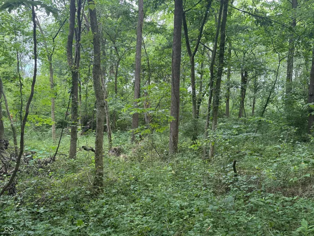 $60,000 | 0 Hopewell Road, Fountain City, IN 47341