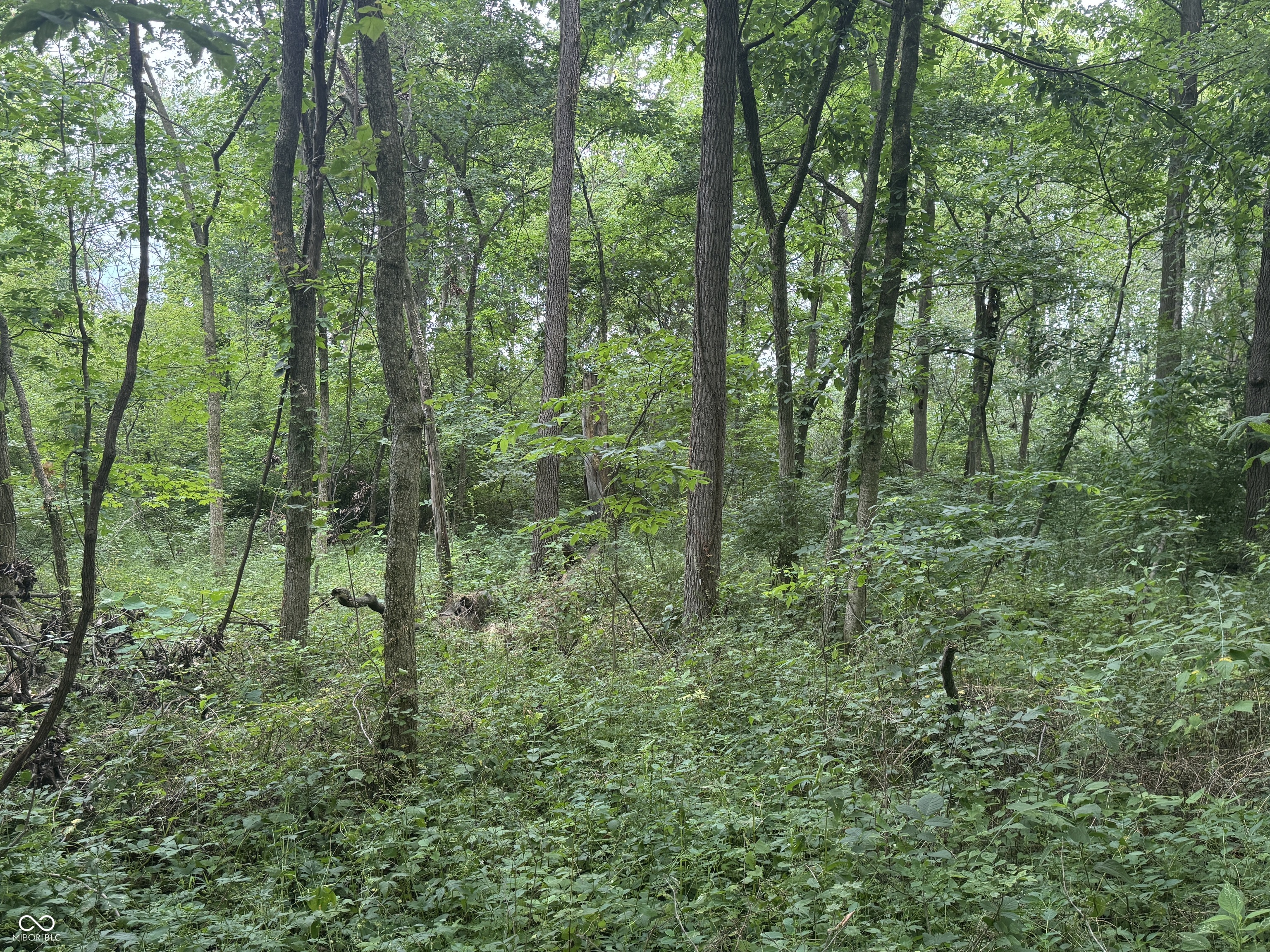 0 Hopewell Road Fountain City, IN 47341 - Photo 6 of 20