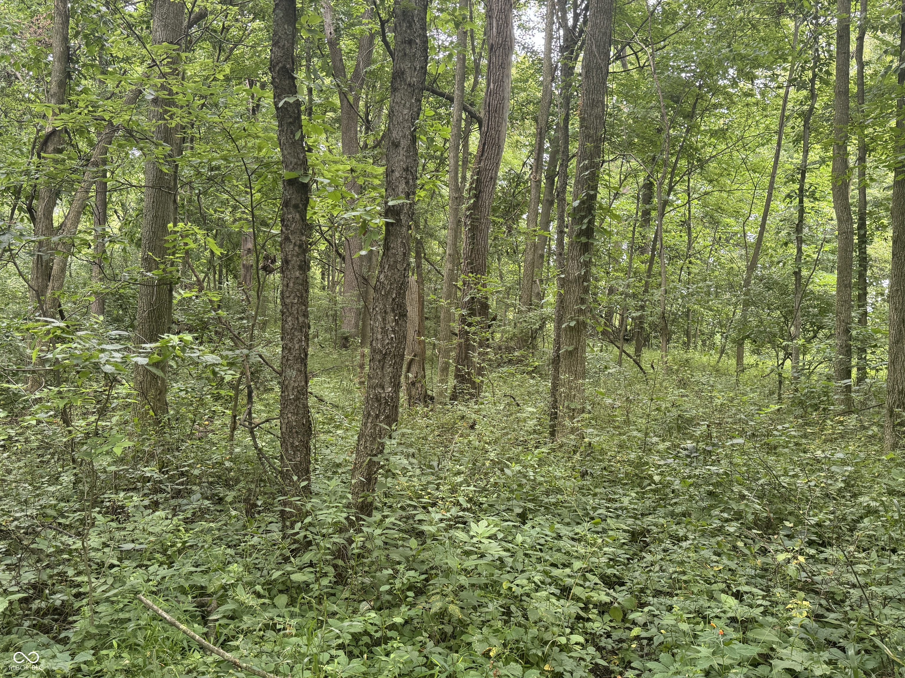 0 Hopewell Road Fountain City, IN 47341 - Photo 7 of 20