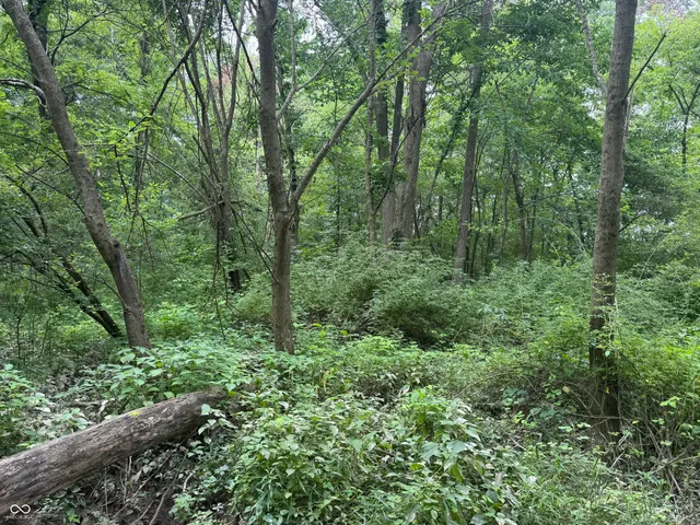 $60,000 | 0 Hopewell Road, Fountain City, IN 47341