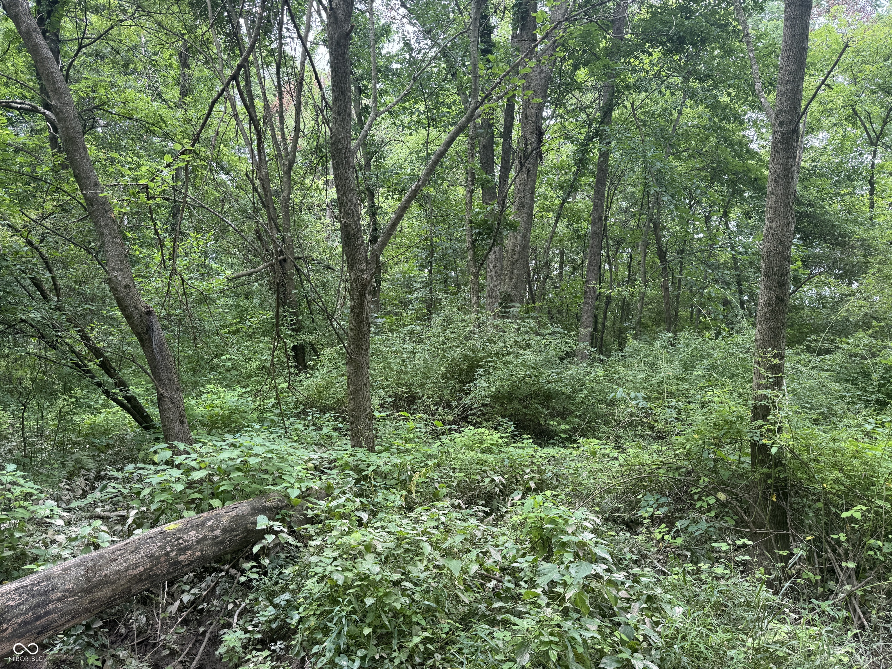 0 Hopewell Road Fountain City, IN 47341 - Photo 8 of 20