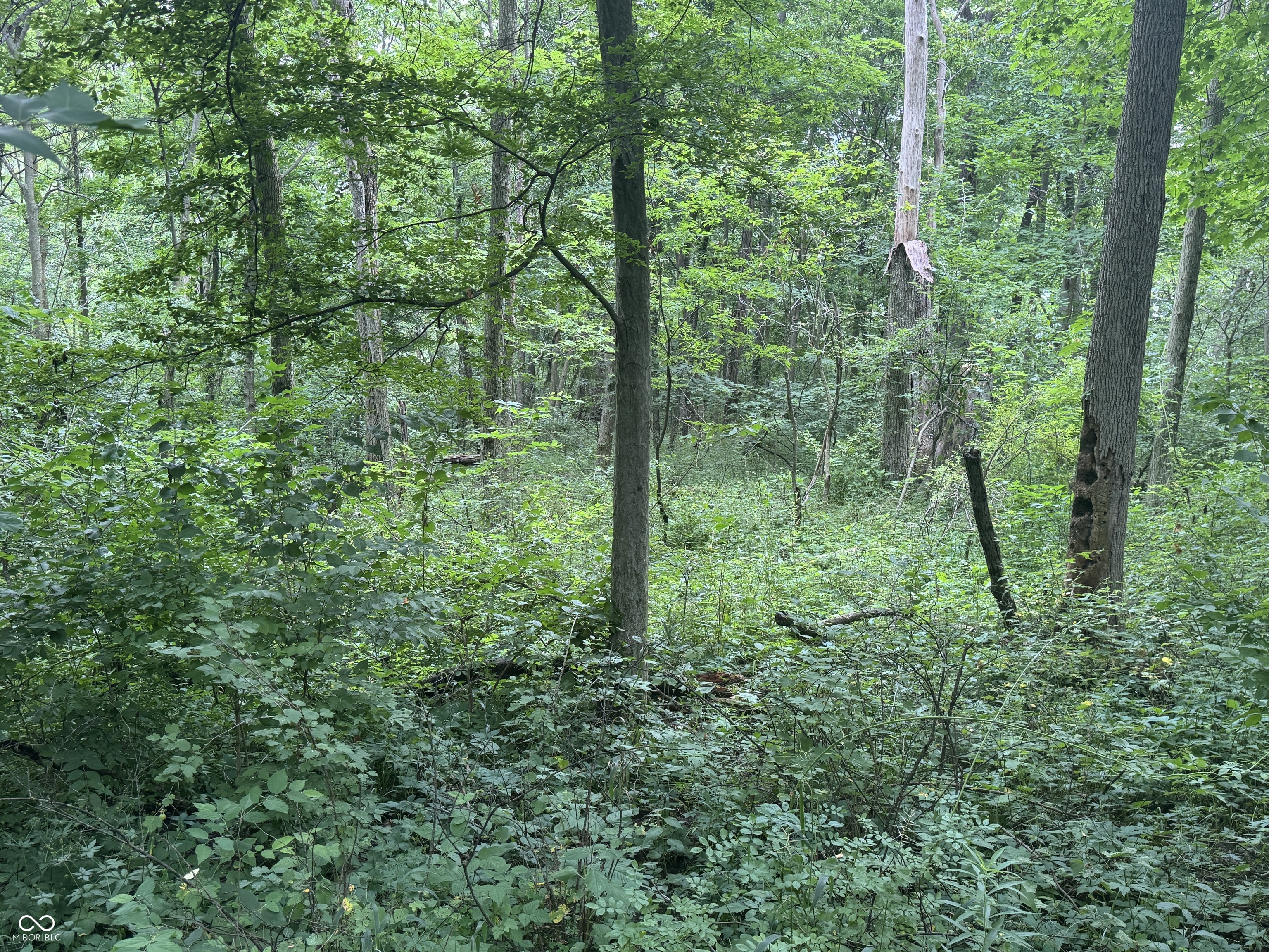 0 Hopewell Road Fountain City, IN 47341 - Photo 9 of 20