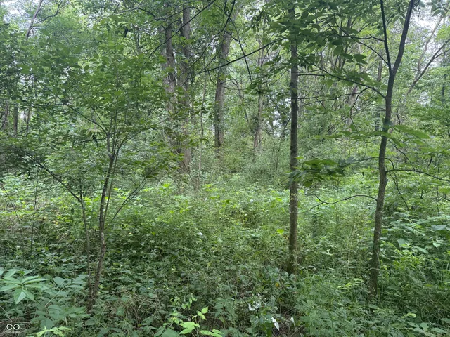 $60,000 | 0 Hopewell Road, Fountain City, IN 47341