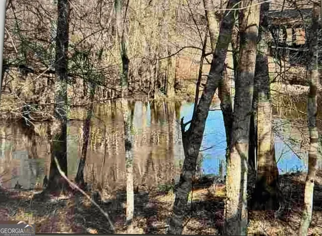 a view of swimming pool with a yard