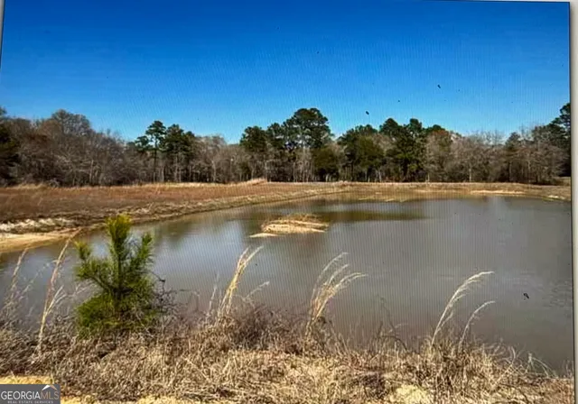 a view of a forest filled with snow