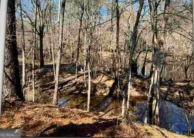 $35,000 | 0 Griffin Ferry Road, Metter, GA 30436