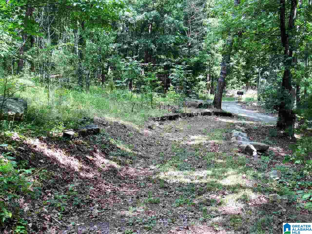 183 Green Acres Road Springville, AL 35146 - Photo 10 of 50