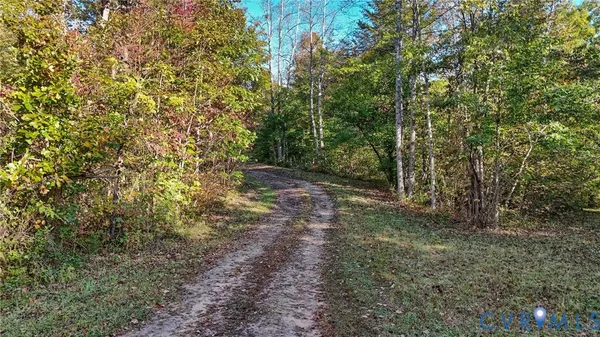$274,500 | 0 Allen Rosen Road, Dillwyn, VA 23936