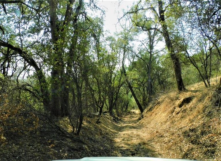 112 Union Mine Road El Dorado, CA 95623 - Photo 10 of 31