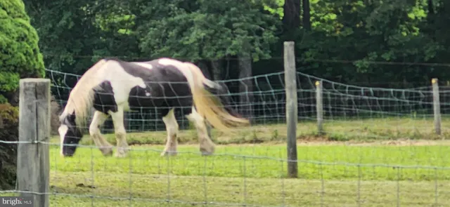 $799,000 | 13206 Golden Drive, Sumerduck, VA 22742