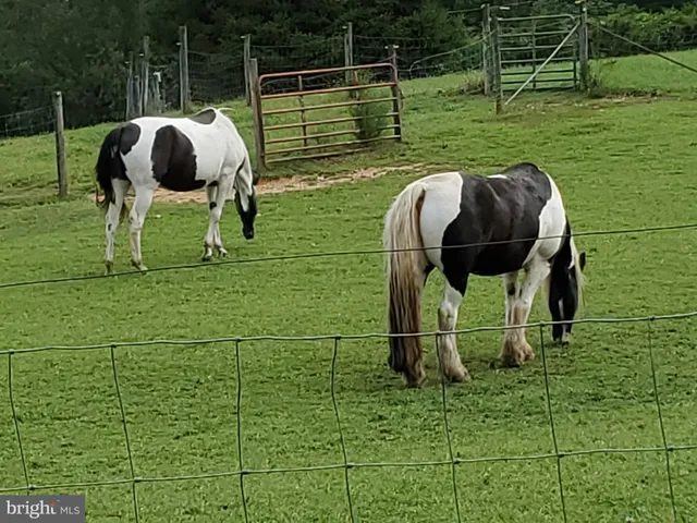 $799,000 | 13206 Golden Drive, Sumerduck, VA 22742