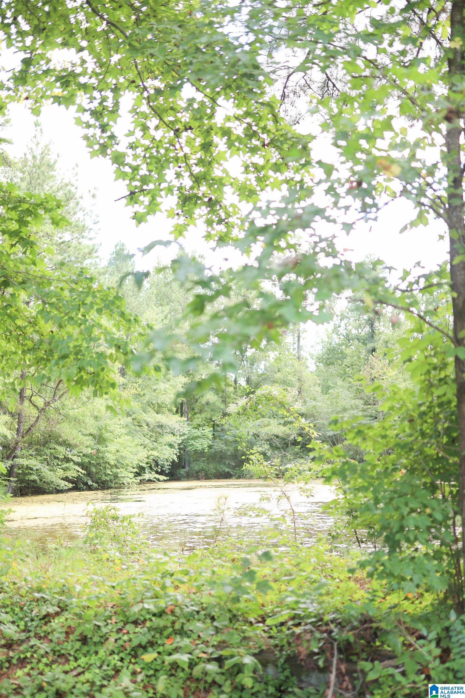 2630 Sweeney Hollow Road Birmingham, AL 35215 - Photo 16 of 33