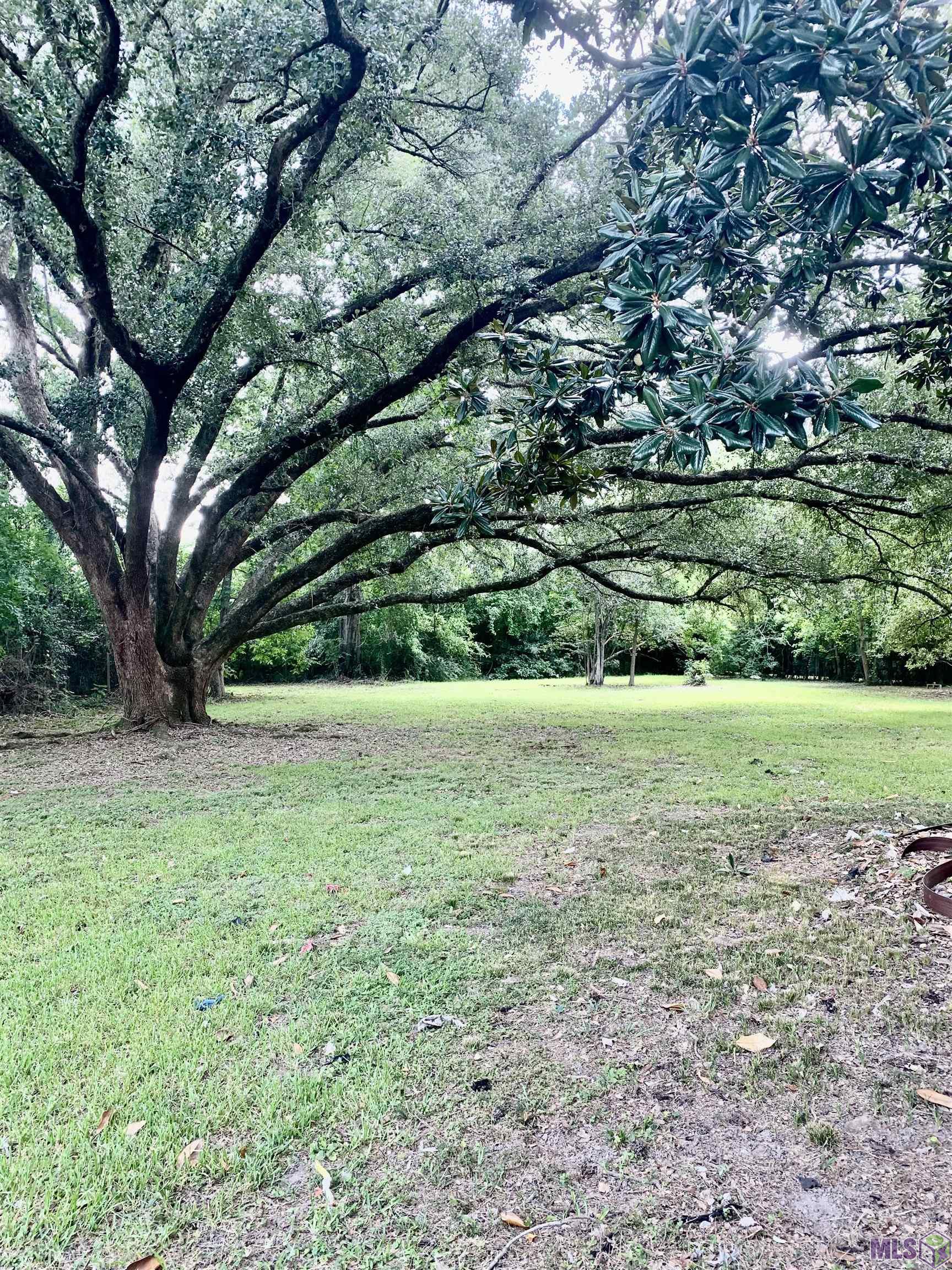 1925 Carter Avenue Baton Rouge, LA 70806 - Photo 8 of 13