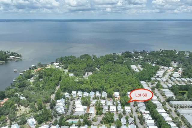 a picture of a tree in a yard