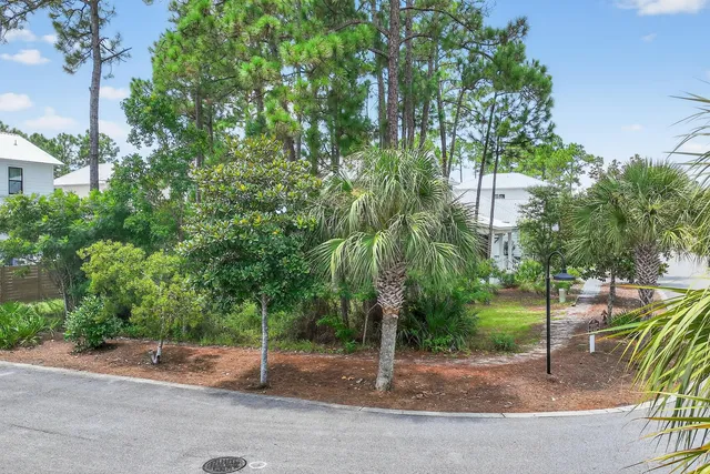 a view of a park with trees