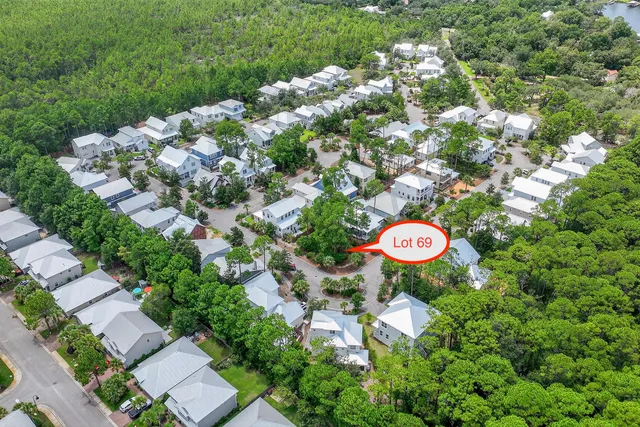 a view of a tree in a yard