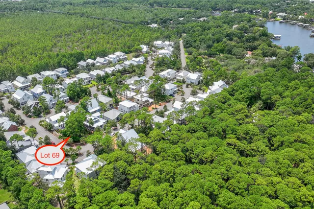 a view of a tree with a yard