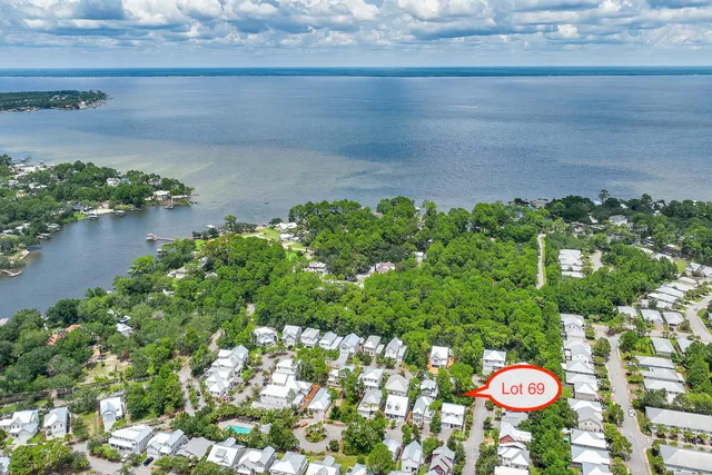 a view of tree in a yard