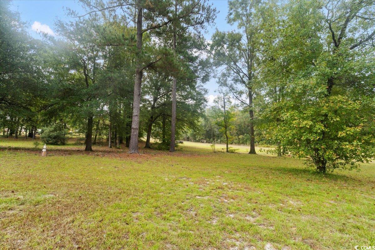 7244 Short Road Nichols, SC 29581 - Photo 13 of 32