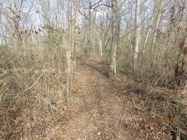 $99,900 | 21-22 Waldorf Place, Brasstown, NC 28902