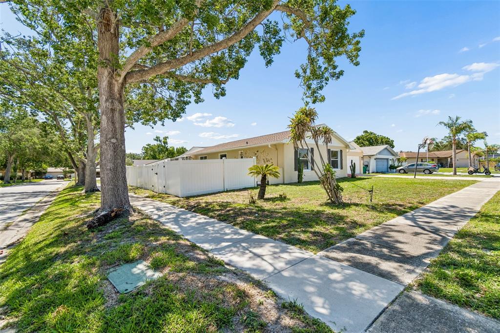 2959 Maple Court Dunedin, FL 34698 - Photo 15 of 63
