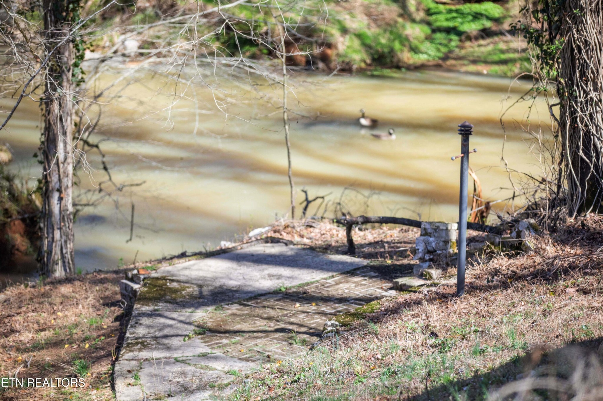 507 Short Street Athens, TN 37303 - Photo 40 of 54 a view of a yard