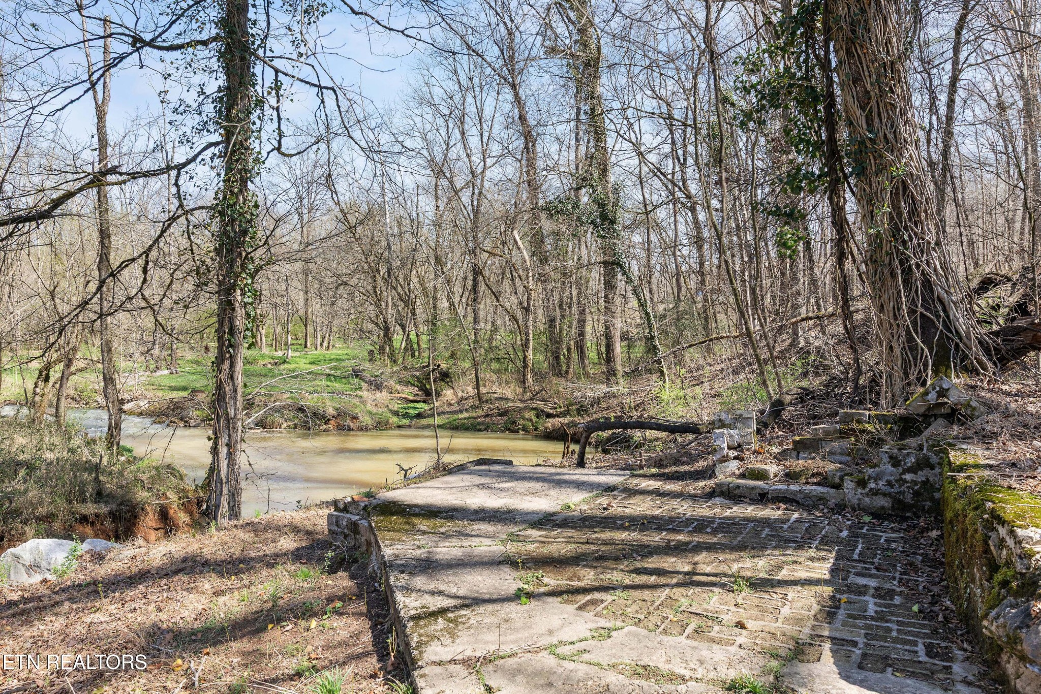 507 Short Street Athens, TN 37303 - Photo 41 of 54 a view of yard with large trees