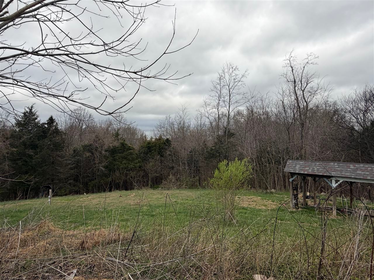 200 Richardson Road Summer Shade, KY 42166 - Photo 16 of 18 Gallery Image 16