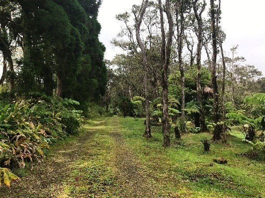 Kalaninauli Road Volcano, HI 96785 - Photo 4 of 4 a view of outdoor space and a yard