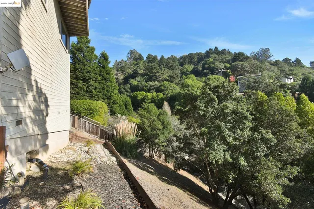 a view of a yard with plants and a bench