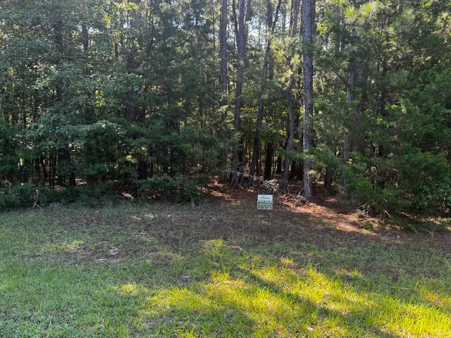 $15,000 | L5-b25 L5-b25 Loblolly Point, McCormick, SC 29835