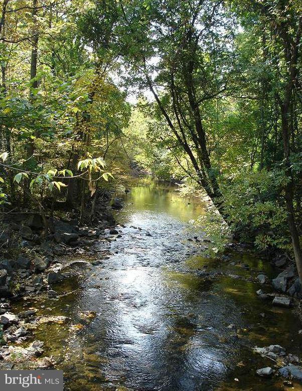 7305 Prince George Road Pikesville, MD 21207 - Photo 26 of 30 View of Stream