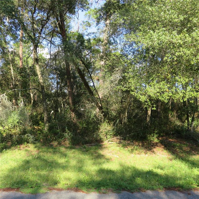 0 Southwest 24th Court Road West Ocala, FL 34473 - Photo 1 of 1 Front
