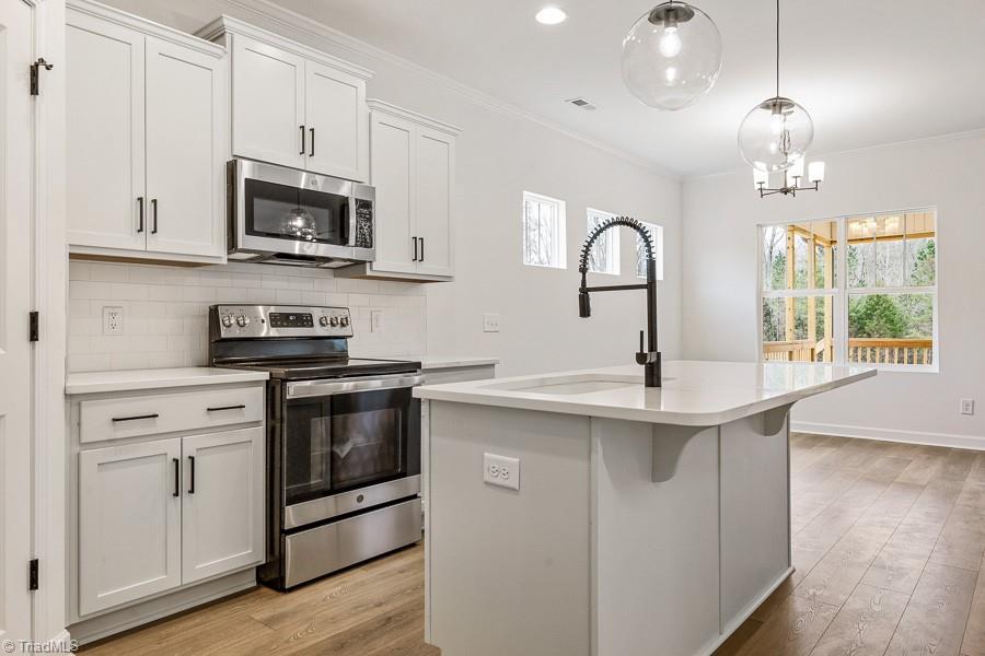 7714 Sedgewick Ridge Road Lewisville, NC 27023 - Photo 18 of 43 Quartz Countertops, black accents & SS Appliances