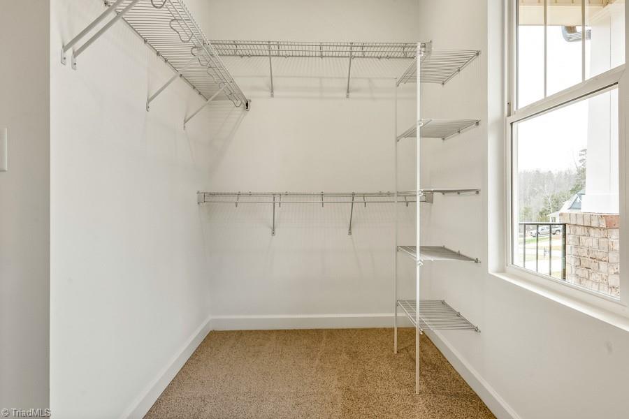 7714 Sedgewick Ridge Road Lewisville, NC 27023 - Photo 23 of 43 Walk-in Primary Closet