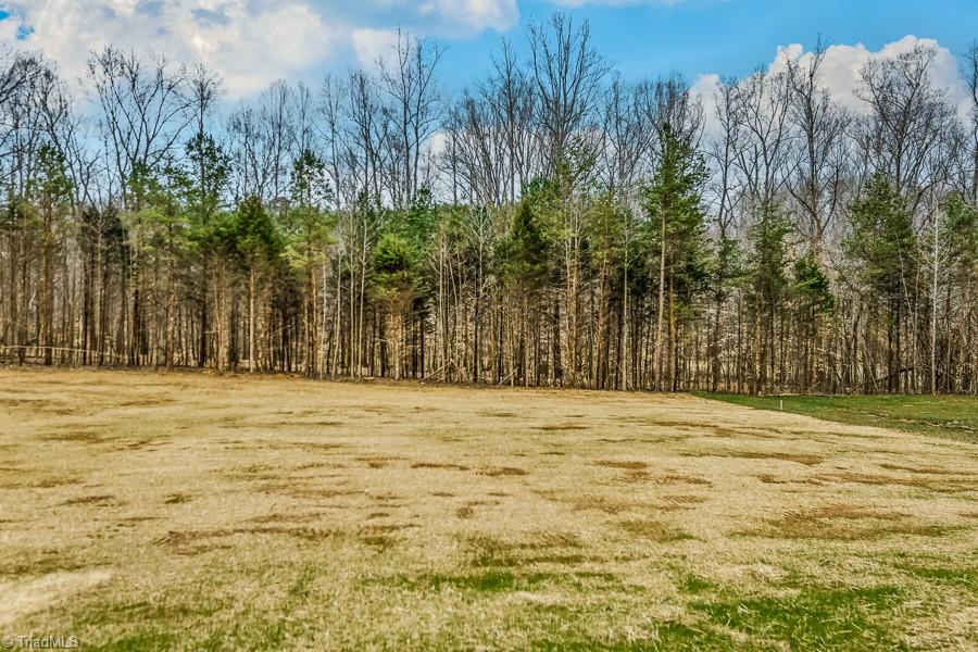 7714 Sedgewick Ridge Road Lewisville, NC 27023 - Photo 40 of 43 Huge Yard!
