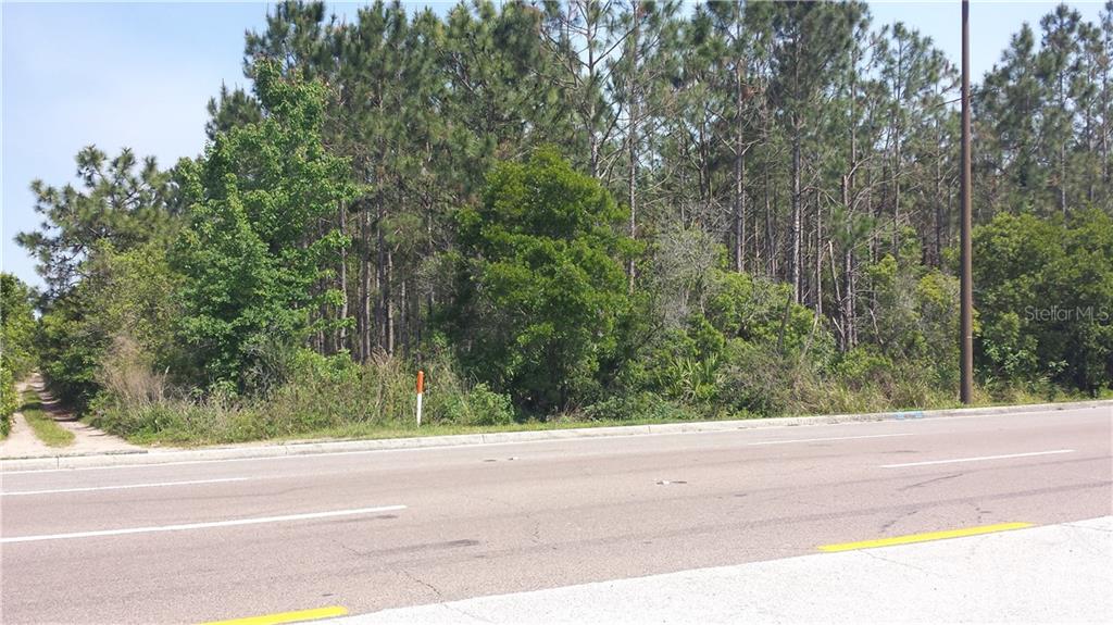 International Drive Orlando, FL 32821 - Photo 10 of 12 a view of a yard and a road